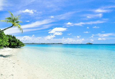 Your 2025 guide to travelling with e-cigarettes