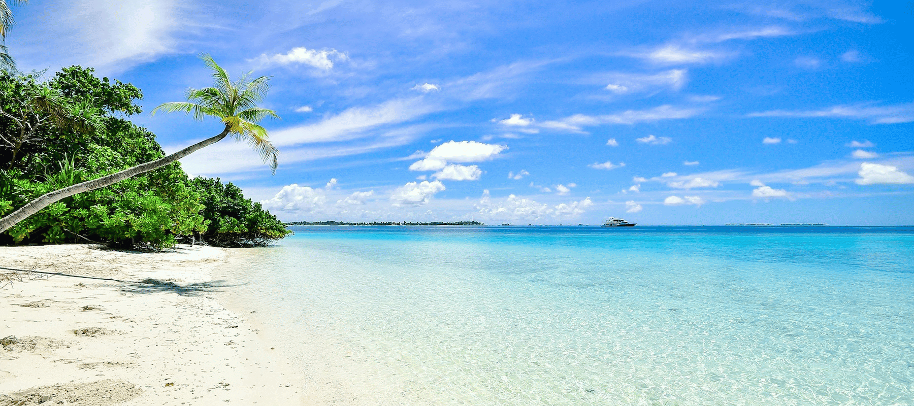 Your 2025 guide to travelling with e-cigarettes