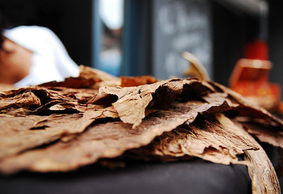 Heated Tobacco: A Modern Alternative to Smoking