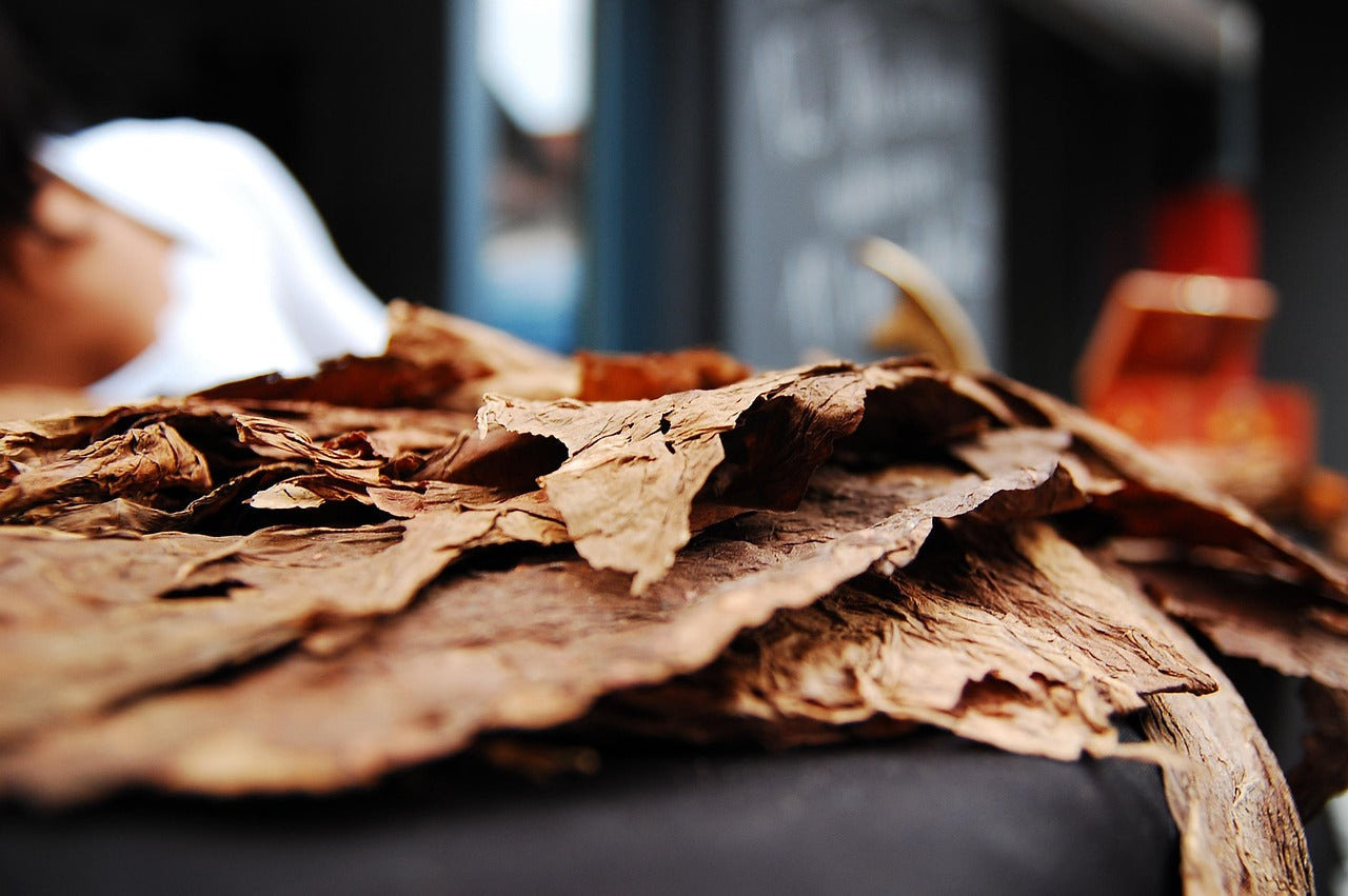 Heated Tobacco: A Modern Alternative to Smoking
